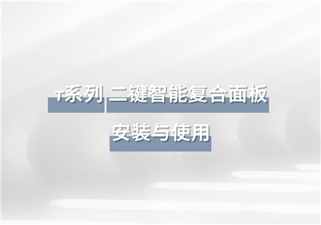 T系列 二键智能复合面板 | RW-MPT2A
